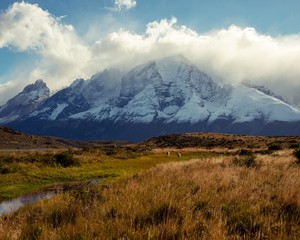 Golden grassy meadow in front of Mountain Range of Torres del Paine on Fall day