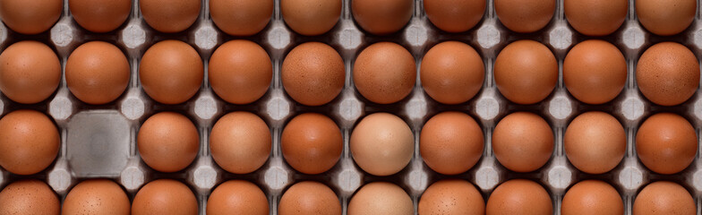 Horizontal banner with straight rows of brown chicken eggs in a cardboard container and one free space.