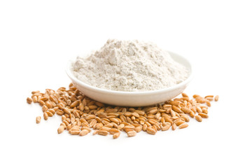 Whole grain wheat flour and wheat grains.