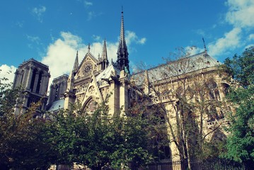 notre dame de paris with blue sky and trees