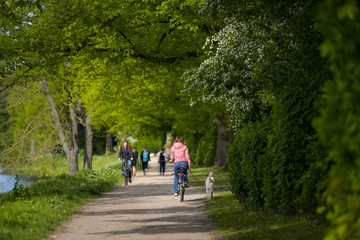 Fahrradfahrer mit Hund und nordic walking im Park