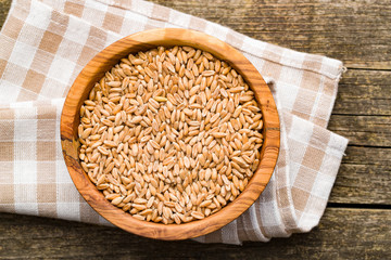Healthy spelt grains.