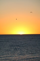 Dusk at Sorrento Beach in Perth, Australia Oceania