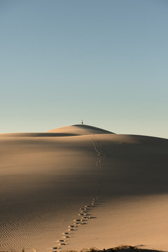 desert with foot prints