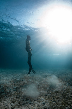 Man In Underwater Wearing Snorkle And Flippers