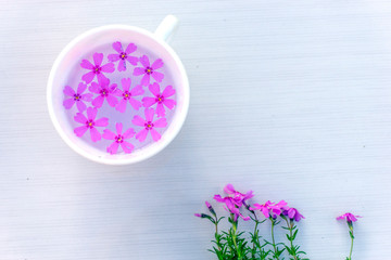 White cup of green tea with purple flowers on a white table. Nearby are fresh flowers. Top view.