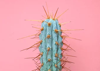 Poster Cactus Mode blauwe cactus levende koraal gekleurde pastel achtergrond. Trendy tropische plant close-up. Kunstconcept. Creatieve stijl. Zoete koraal modieuze cactus Mood