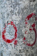 heart made of hearts on wooden background