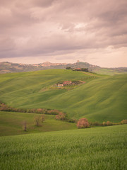 Hilly landscape at sunset.