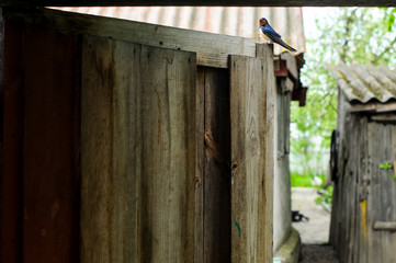 old wooden door in a house