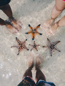 three person standing around five starfishes