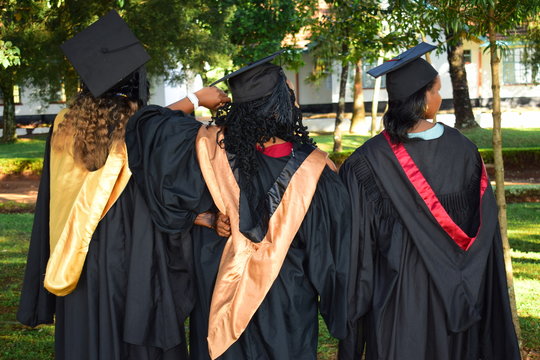 three people wearing academic gowns facing back with trees during daytime