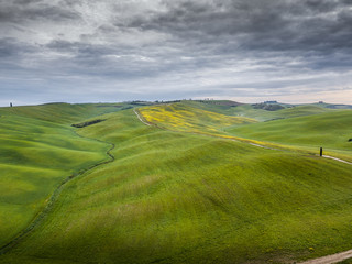 Colline con campi di grano in val d'orcia con cielo tempestoso