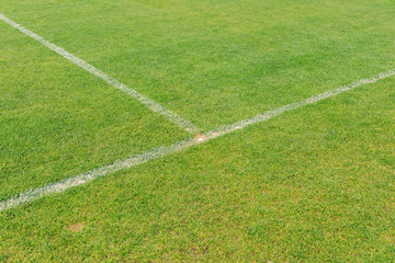 Obraz premium Empty stadium grass with white line close up. White line on a grass field background.