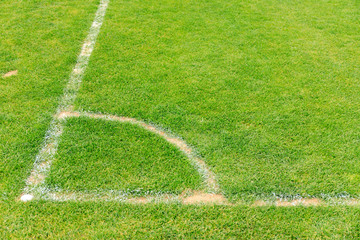 Empty stadium grass with white line close up. White line on a grass field background.