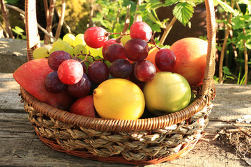Juicy black grapes and apples in a basket in the garden surrounded by spring flowers with drops...