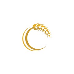 Wheat vector icon illustration design