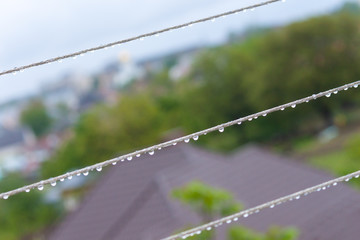 Rain drops on ropes. Copy space.