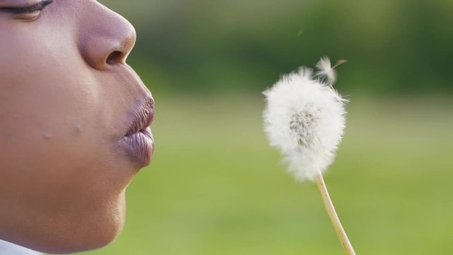 Young black female laughing blows away the seeds of a dandelion, in slow motion 