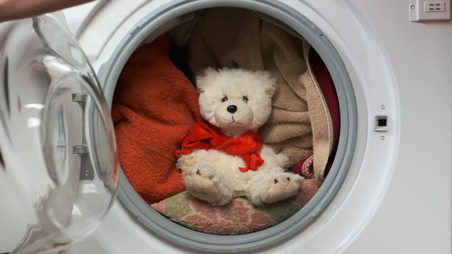 girl puts teddy bear in washing machine and closes door. Closeup.