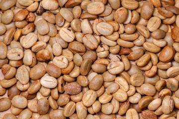 Untoasted organic Coffee beans - coffeea arabica - pattern texture artesanal