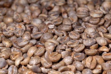Untoasted organic Coffee beans - coffeea arabica - pattern texture artesanal