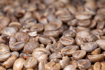 Untoasted organic Coffee beans - coffeea arabica - pattern texture artesanal