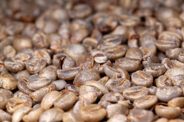 Untoasted organic Coffee beans - coffeea arabica - pattern texture artesanal