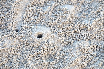A pile small grain of sand that made by a hermit crab on a sea beach for background backdrop 