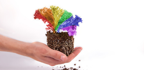 May 17 is an international day against homophobia, transphobia and biphobia. Leaves grow from the hands, painted in the colors of the flag of the LGBT, on a white isolated background