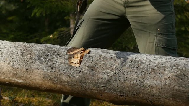 Lumberjack Chopping Wood In The Forest. Male tourist chopping wood with an axe. Woodcutter cuts the tree with an axe. Wood sawdust flying. Slow motion