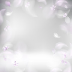 Fototapeta na wymiar Soft spring background with purple blurred flower petals