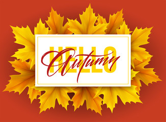 Autumn poster with lettering and yellow autumn maple leaves. Vector illustration