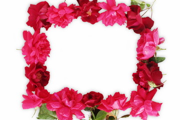 frame made of red rose flowers petal for valentines day or love,religion,holiday related concept, top view,copy space on white background