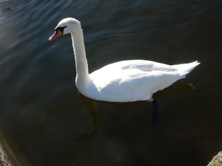 ニュンフェンブルク城前庭　ミュンヘン