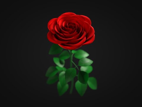 a red rose on dark background. 3d illustration