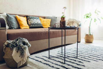 Flat interior of living room decorated with baskets, plants and carpet. Couch with cushions and...