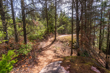View at Mountain Trail in British Columbia, Canada. Mountains Background.