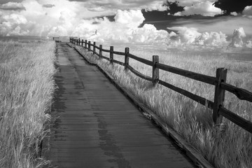 Fototapeta na wymiar Wooden Path With Railing and Dramatic Cloudscape