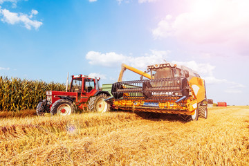 Combine harvester harvests ripe wheat. agriculture 