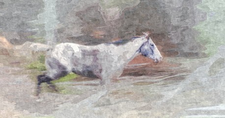 Oil Painting - Running Pinto Horse