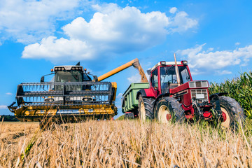 Combine harvester harvests ripe wheat. agriculture 