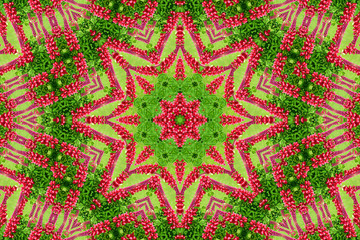 abstract background of flower pattern of a kaleidoscope