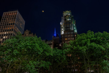 Fototapeta na wymiar Full moon from Bryant Park, New York