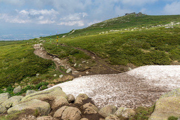 Green hills of Vitosha Mountain near Cherni Vrah Peak, Sofia City Region, Bulgaria