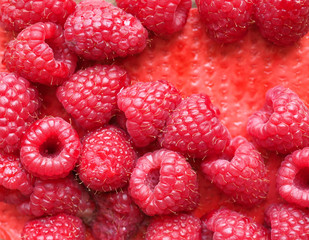 raspberry fruit food