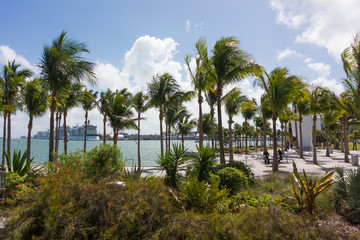 View from Pérez Art Museum of Miami