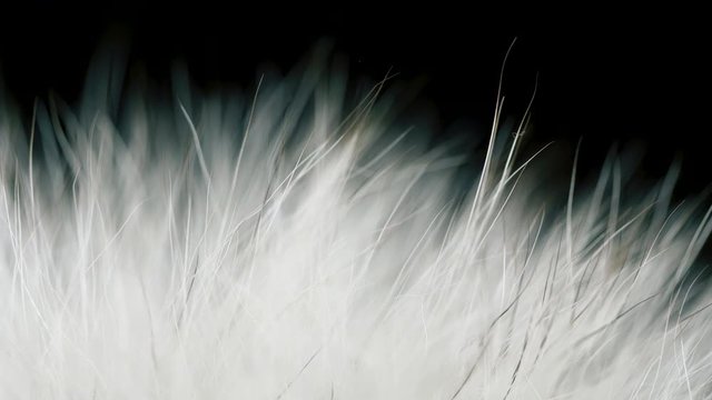 Close up of rotating fur. 4K creative abstract macro footage.