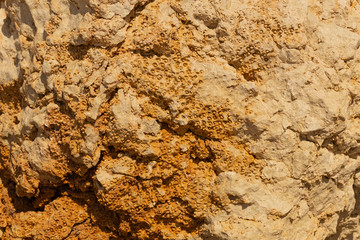 Fossil corals of the Red Sea. Ancient creatures, turned into stone.