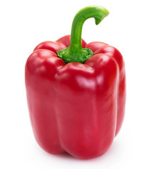 Fresh pepper on white background